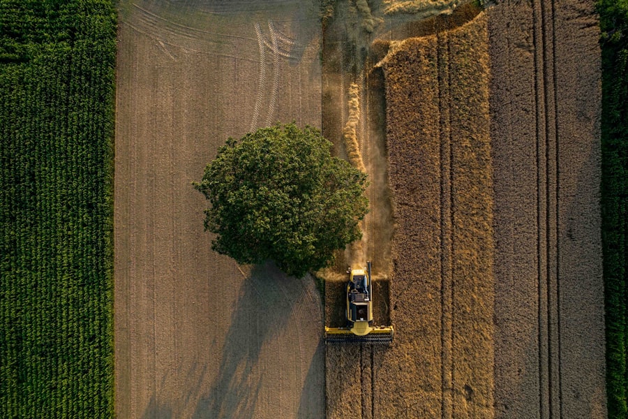 Mähdrescher bei der Ernte aus der Luft