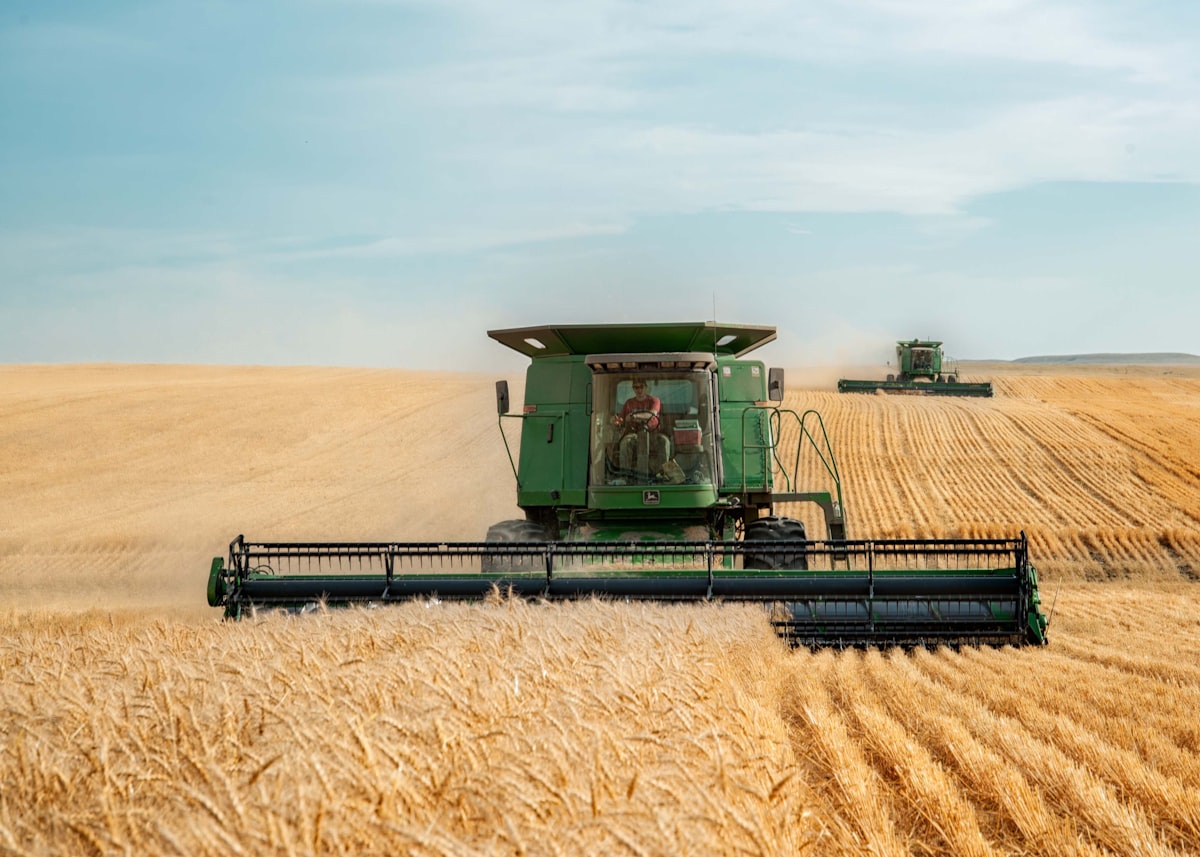 Mähdrescher bei der Getreideernte auf einem Feld